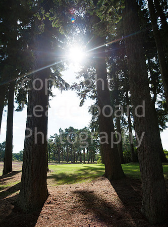 NB_Liphook_Senior.