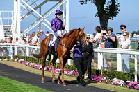 Gt_Yarm_15_Aug_2025-5
