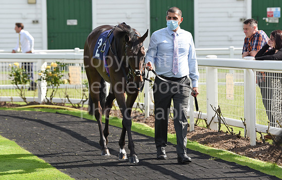Gt_Yarm_Races_7th_July2021-208