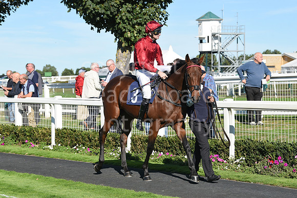 Gt_Yarm_5_Oct_2026-38