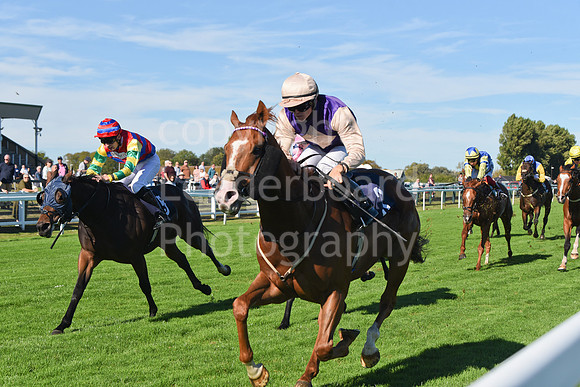 Gt_Yarm_5_Oct_2026-23