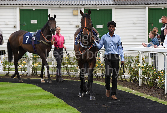 99_GY_Races_20Aug