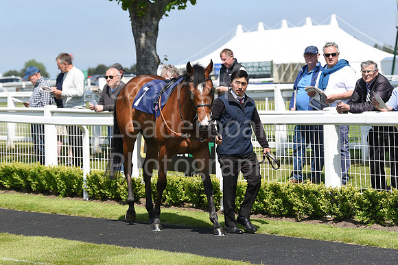 Gt_Yarm_24_May_2023-5