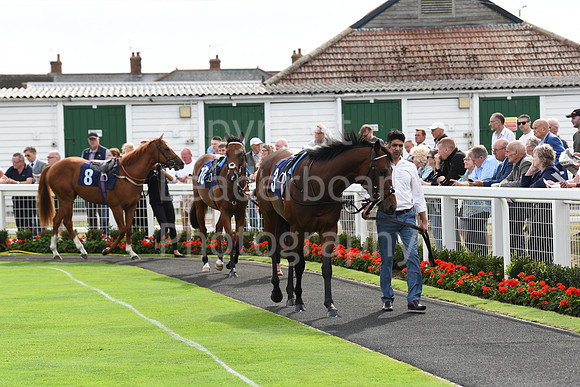 Gt_Yarm_Races_13_Sept8-49