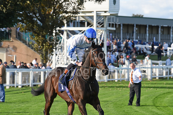 Gt_Yarm_5_Oct_2026-165