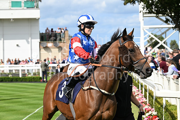 Gt_Yarm_25_Aug_Family_Raceday_2024-8