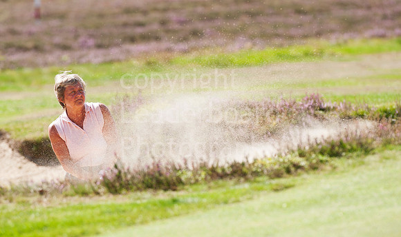 NB_Liphook_Senior.