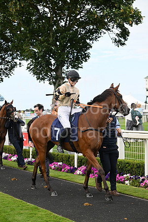 Gt_Yarm_3_Aug_2025-191
