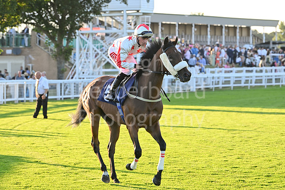 Gt_Yarm_Ladies Night_2025-159