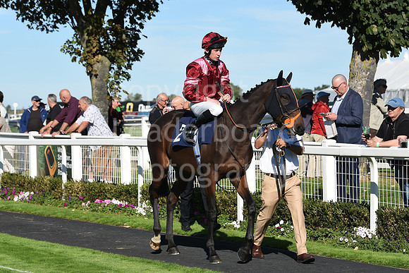 Gt_Yarm_5_Oct_2026-40