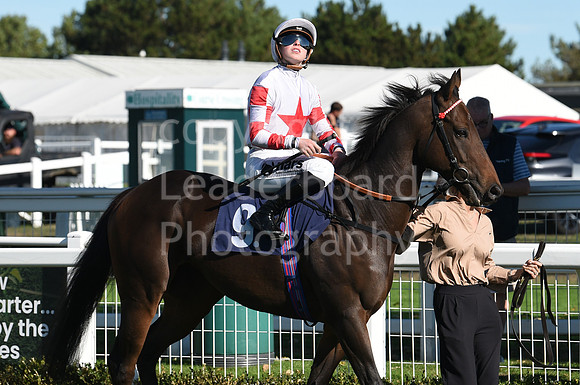 Gt_Yarm_5_Oct_2026-11