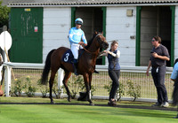 15_GY_Races_20Aug