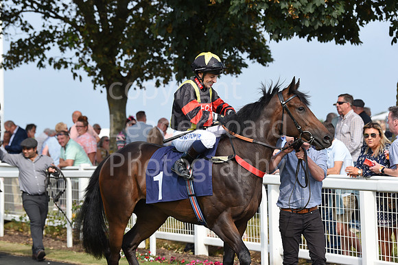 Gt_Yarm_Eastern_Fest_Day_3-11