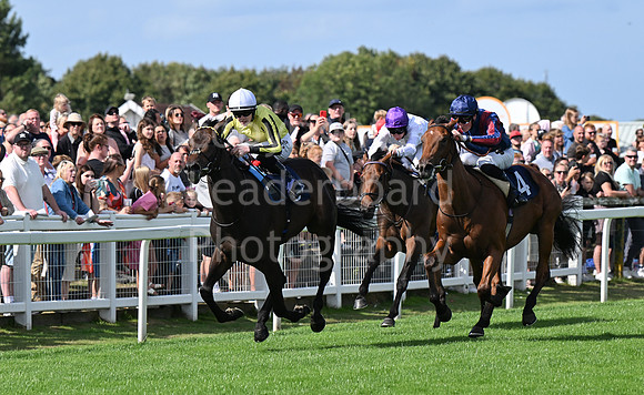 Gt_Yarm_25_Aug_Family_Raceday_2024-67