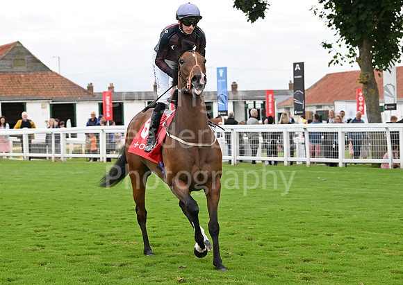 Gt_Yarm_July25_Racing_League_2024-239