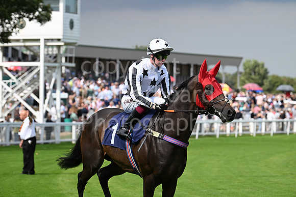 Gt_Yarm_24_Aug_2025-14