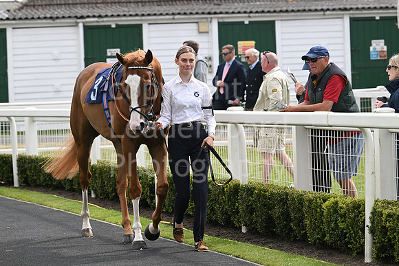 Gt_Yarm_May14_2025-138