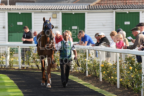 40_GY_Races_20Aug