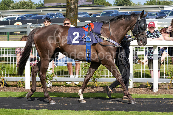 Great Yarmouth  Race Six 11th Aug 2021 0429