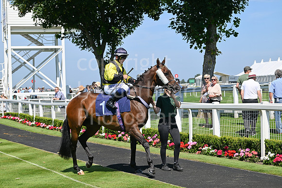 Gt_Yarm_July_30_2024-15