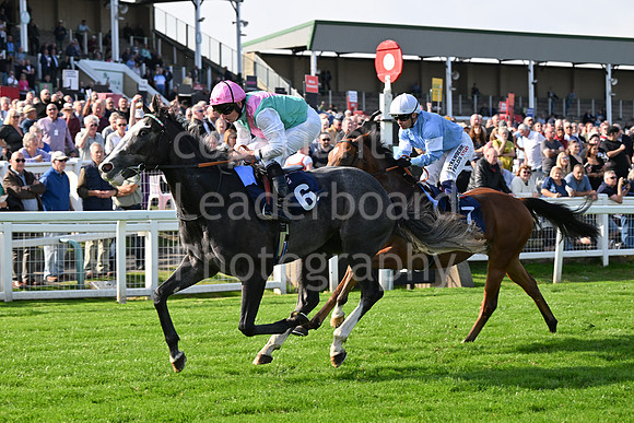 Gt_Yarm_Eastern_Fest_18_Sept_2024-112