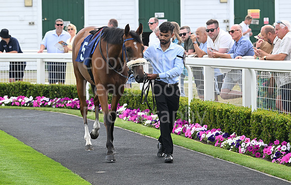 Gt_Yarm_Residents_Day_June_27-37