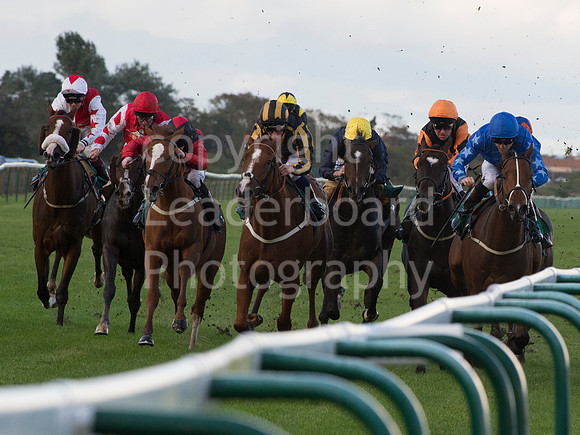 LB_GY_races_10_10_2016_0239