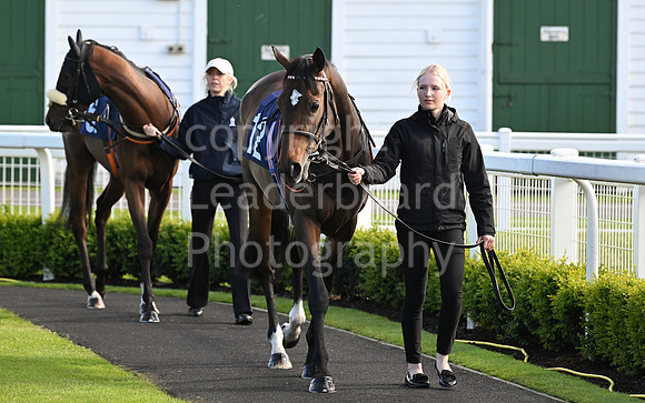 Gt_Yarm_May_22_2024-220