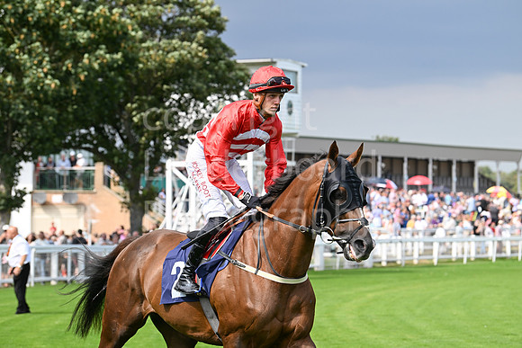 Gt_Yarm_24_Aug_2025-8