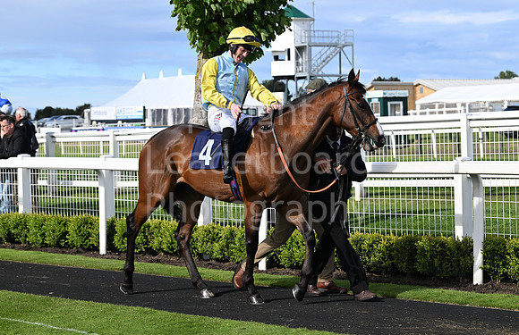 Gt_Yarm_May_22_2024-234