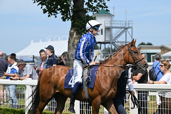 Gt_Yarm_Residents_Day_June_27-44