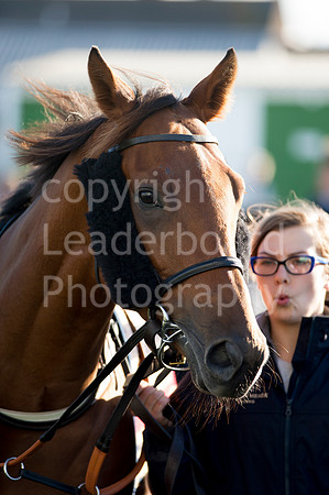 LB_GY_races_18_10_2016_0196