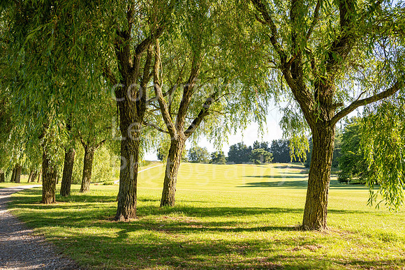 LBP_EDGA_Tues_Open_Nayland-29