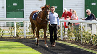 02_GY_Races_20Aug