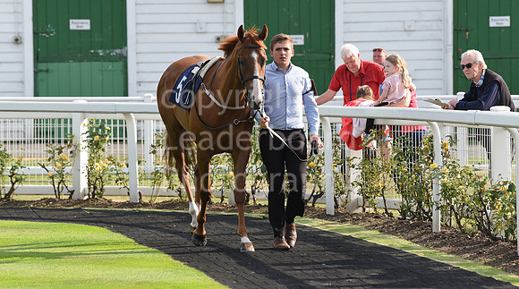 02_GY_Races_20Aug
