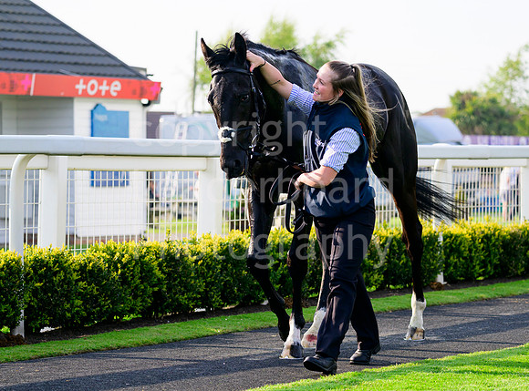 NZ9_6092