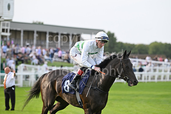 Gt_Yarm_6_Aug_2025-123