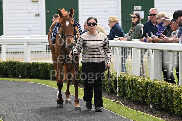 Gt_Yarm_May14_2025-4