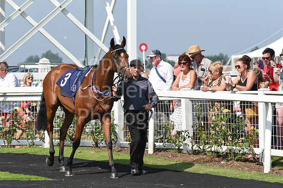 GY_Races_25_July-61
