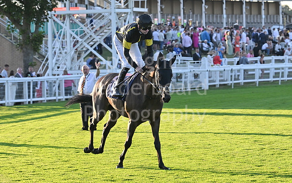 Gt_Yarm_Ladies Night_2025-163
