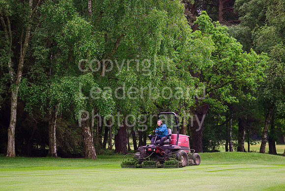 NB_001_Senior_Womens_York_2024
