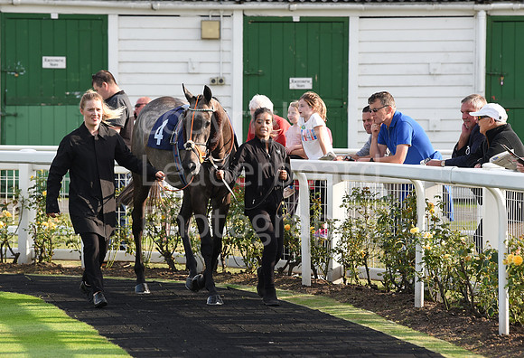 41_GY_Races_20Aug