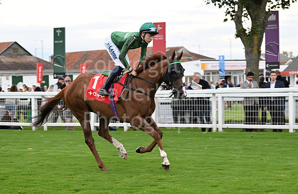 Gt_Yarm_July25_Racing_League_2024-250