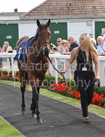 Gt_Yarm_21_Aug_2022-106