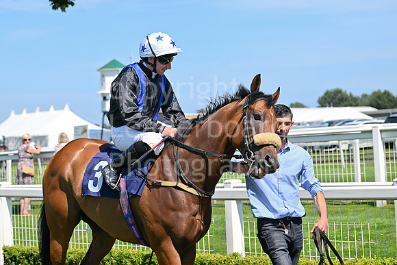 Gt_Yarm_July_30_2024-18