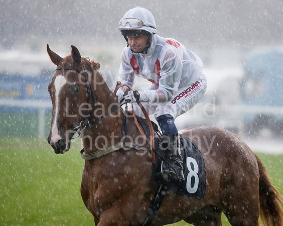 LB_GYR_06_07_2017_0141
