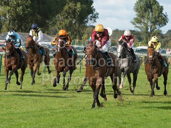 LB_GY_races_10_10_2016_0106