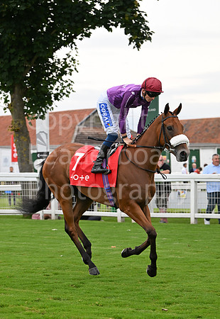 Gt_Yarm_July25_Racing_League_2024-242