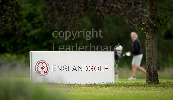 LB_Senior_womens_stroke_play_2016_2139