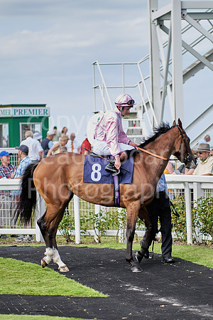 Great Yarmouth  Race Six 11th Aug 2021 0469